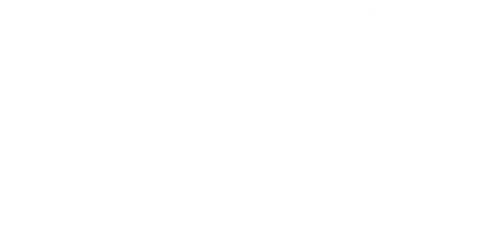 HR-IN logo blanco